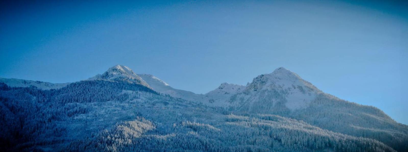 Appartement Reichholf Bramberg am Wildkogel Bagian luar foto
